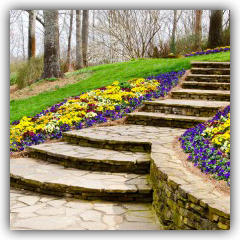 Stone Staircase 