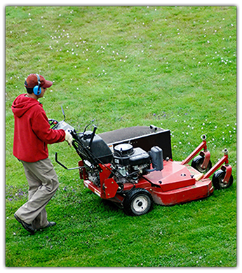 Lawn Maintenance 